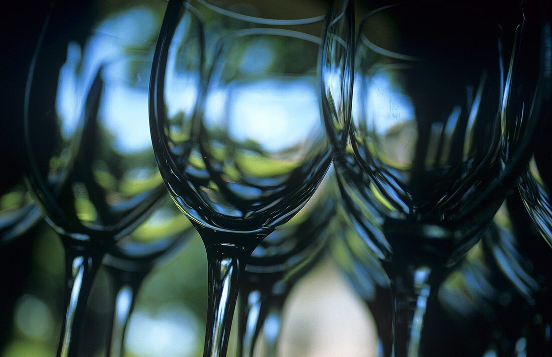 Glasses lined up for wine tasting