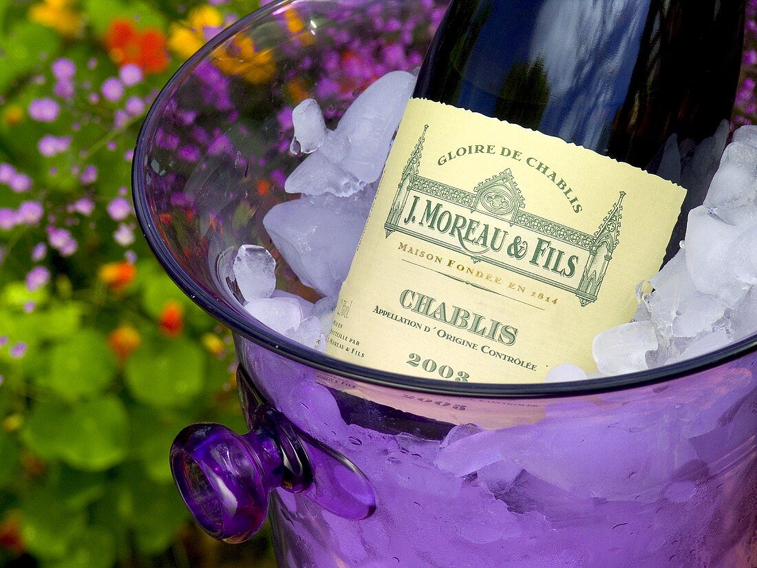 Eine Flasche J.Moreau & Fils Chablis im Weinkühler