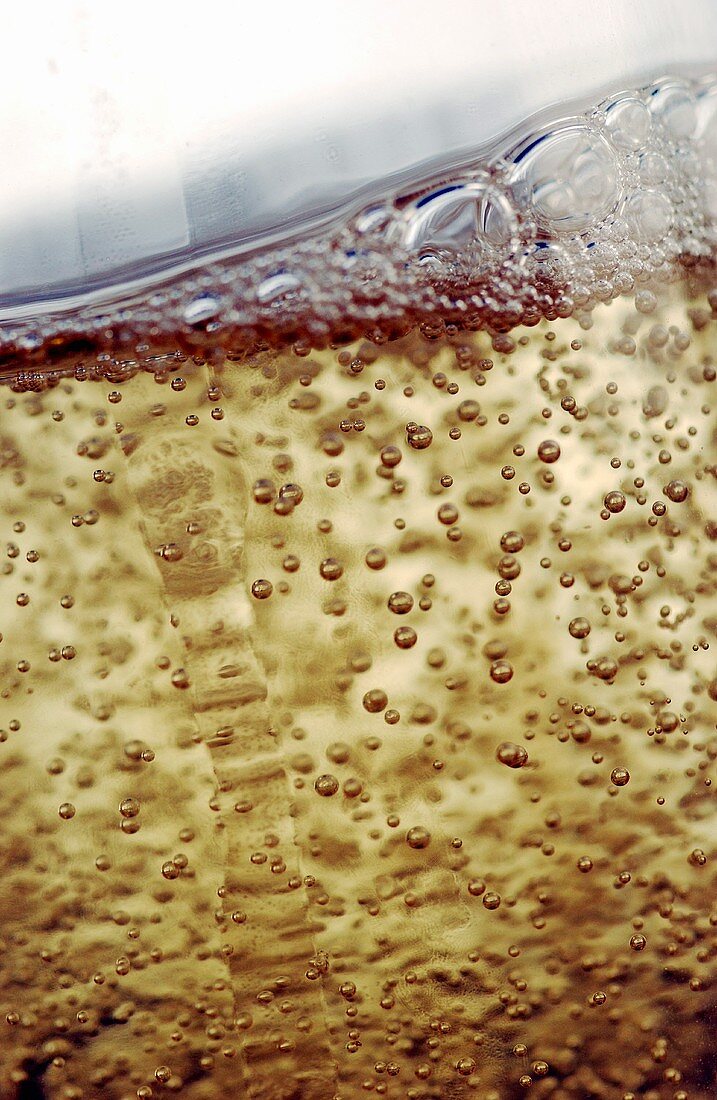 Prickelnder Champagner (Nahaufnahme)