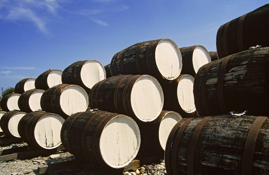 Sherryfässer des Weinguts ETKO, Limassol, Zypern