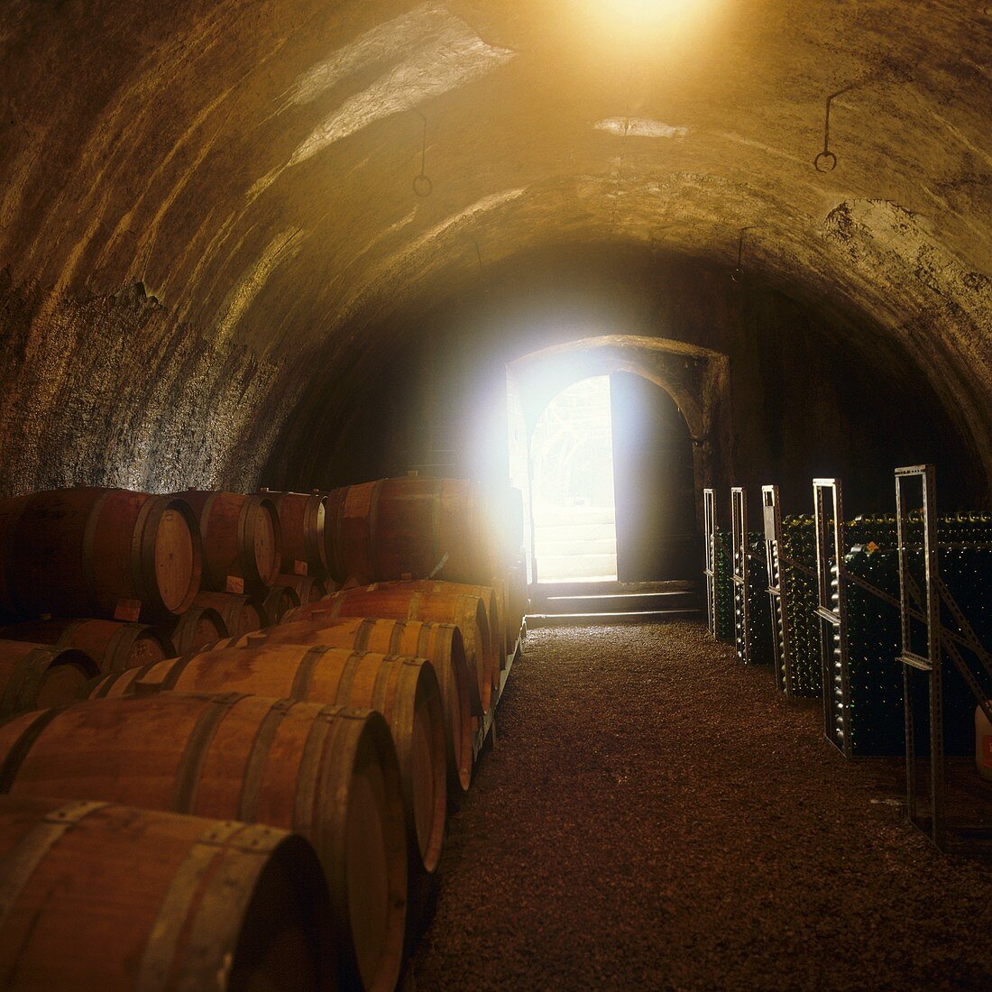 Barrique cellar, Elena Walch Winery, S. Tyrol