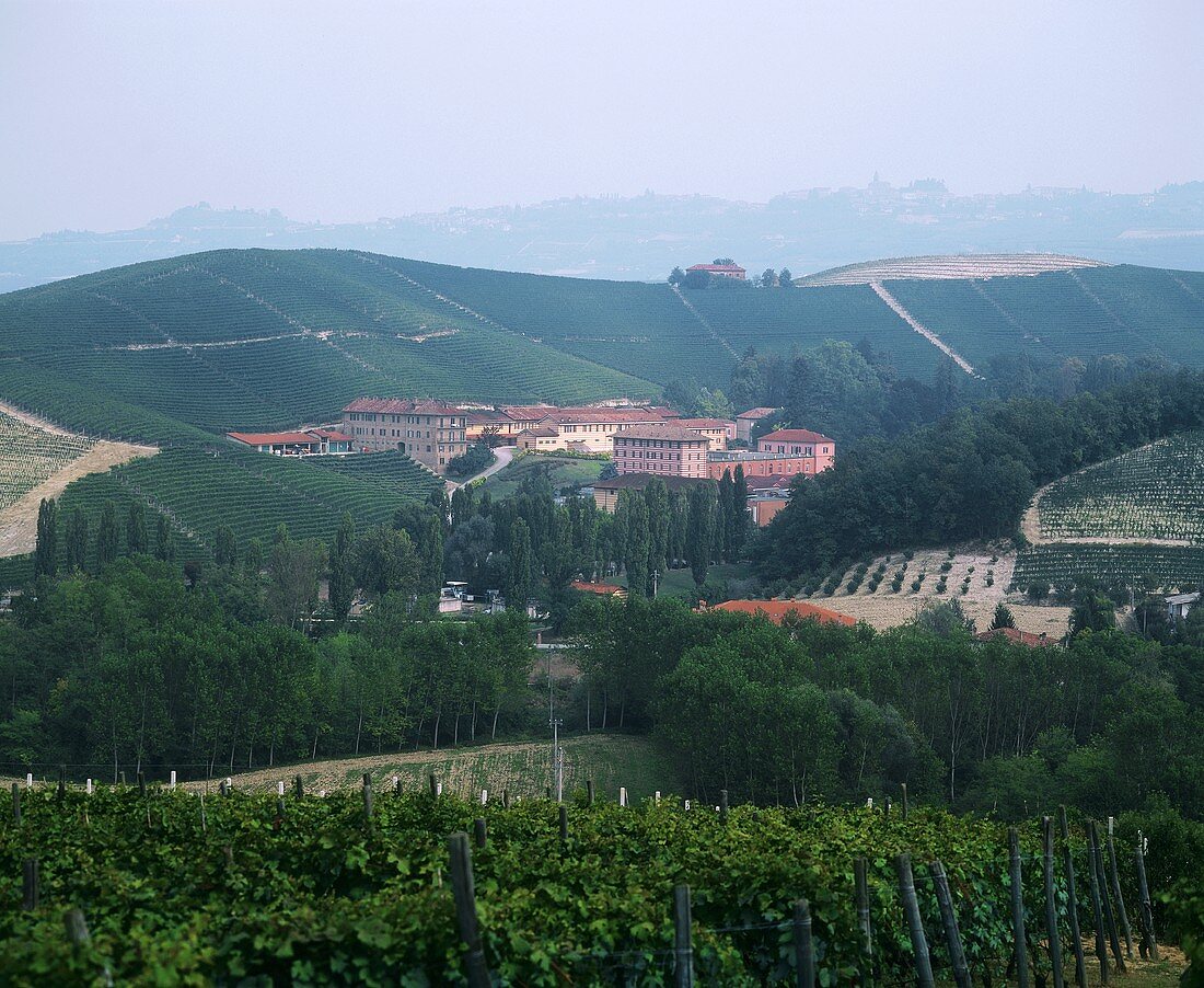 Fattoria Fontana Fredda, Piemont, Italien