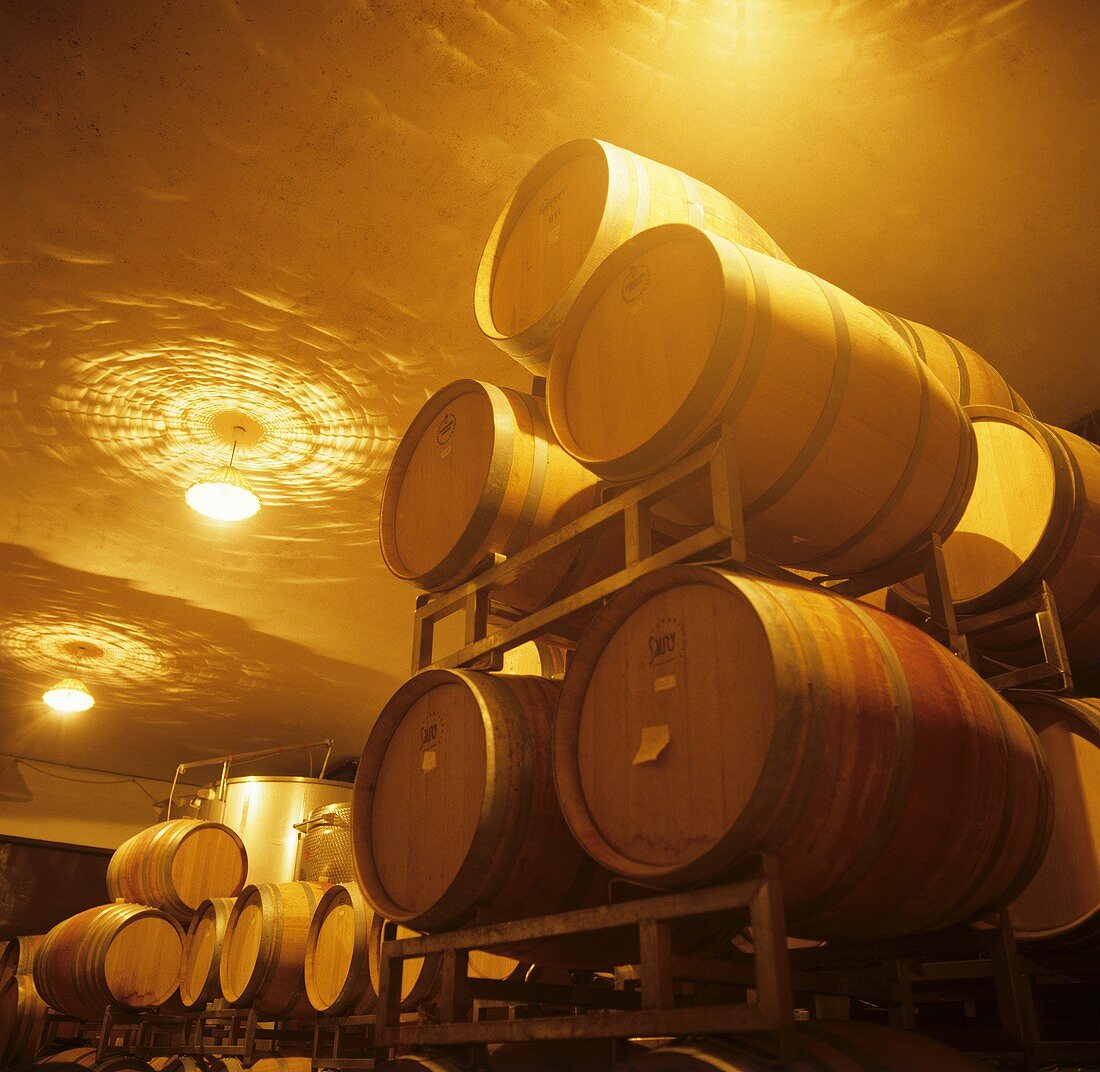 Wine cellar, Grasso Silvio Estate, La Morra, Piedmont, Italy