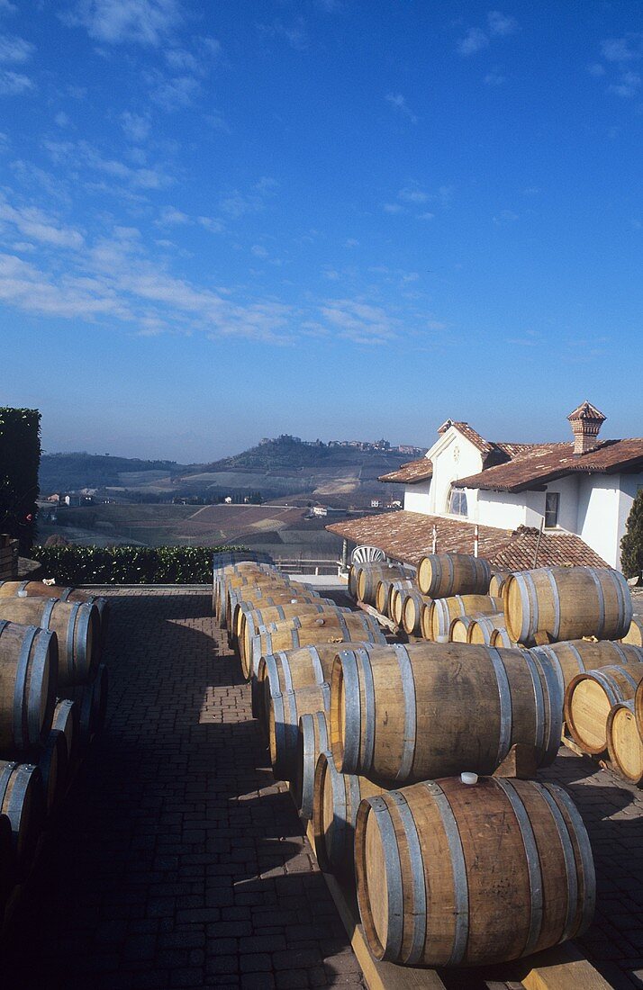Weingut Rocche dei Manzoni, Monforte d'Alba, Piemont, Italien
