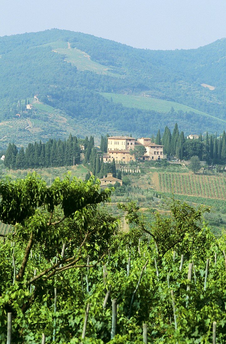 Weinguut Vignamaggio, Greve, Chianti, Italien