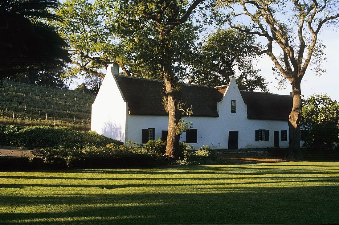 Das Weingut Buitenverwachting, Constantia, Südafrika