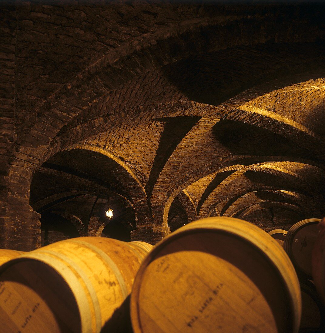 Weinkeller des Gutes Santa Rita, Valle del Maipo, Chile