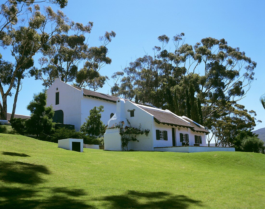 Hamilton-Russell Vineyards (Walker Bay, S. Africa)