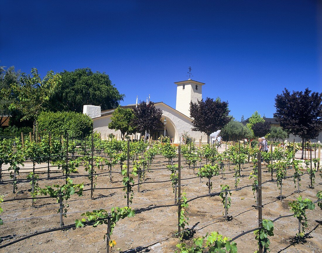 Robert Mondavi Winery, Oakville, Napa Valley, California