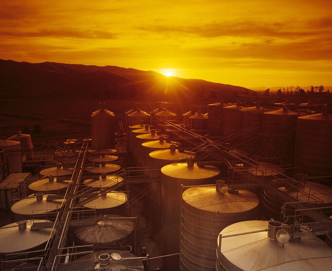 Steel tanks for mass production of wine