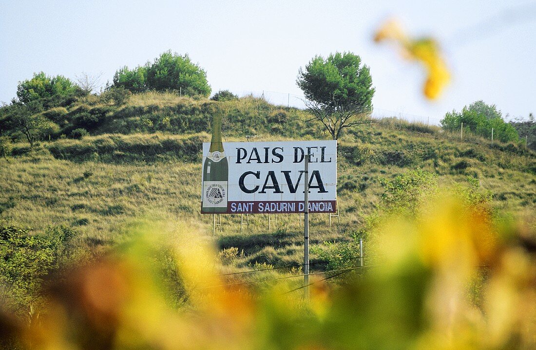 Sant Sadurni d'Anoia, 'Hauptstadt des Cava', Penedès, Spanien