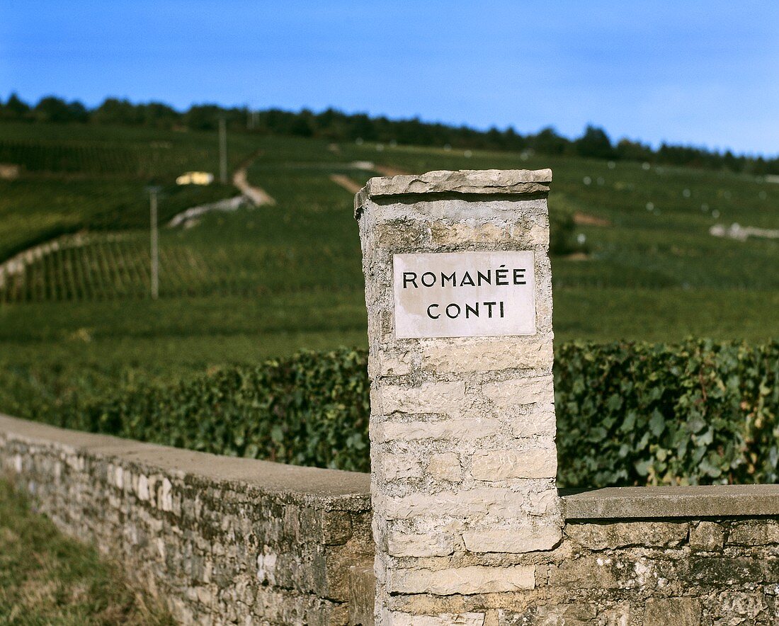'La Romanée' vineyard, Domaine de la Romanée-Conti, Burgundy
