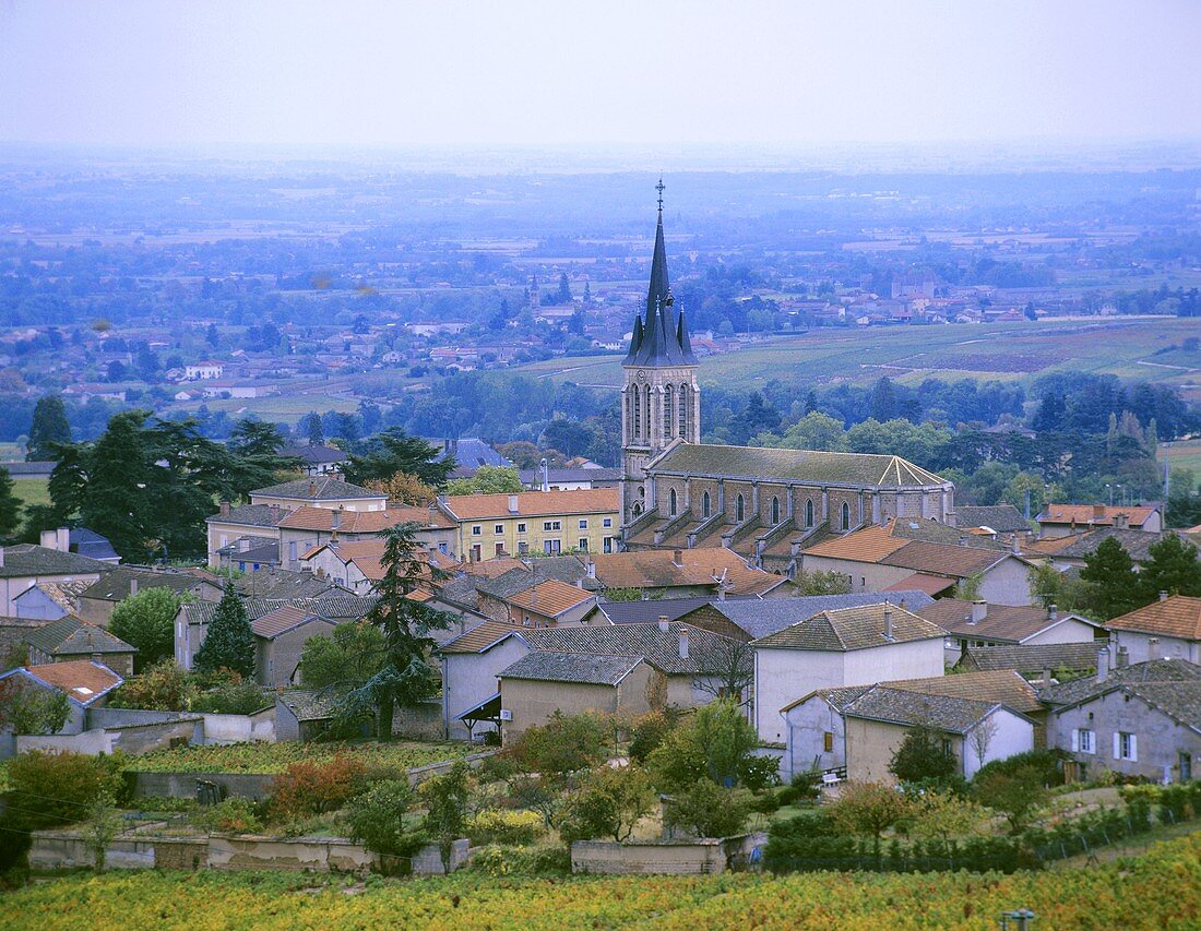 Fleurie, eines der zehn Cru-Lagen des Beaujolais, Frankreich