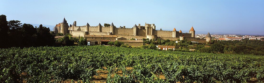 Die historische Altstadt von Carcassonne, Languedoc, France