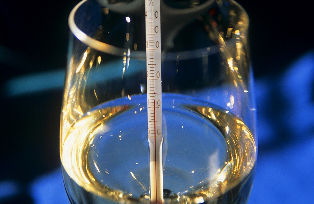 Glass of white wine with special wine thermometer