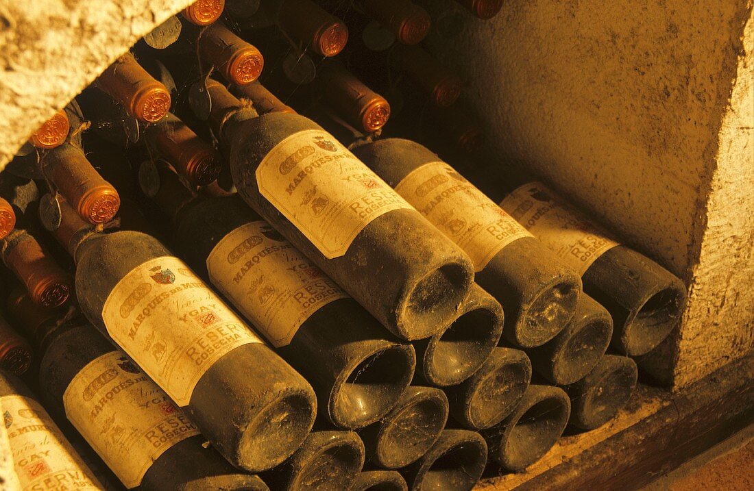 Weinkeller der Bodegas Marqués de Murrieta, Rioja, Spanien