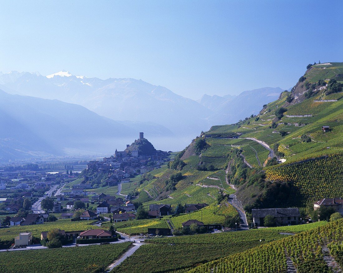Blick auf die Weinbaugemeinde Saillon, Kanton Wallis, Schweiz