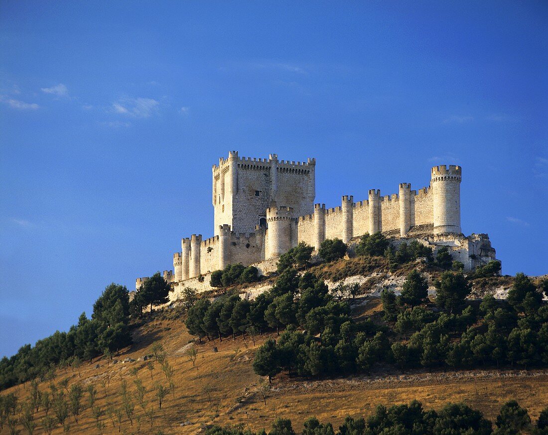 Castillo de Peñafiel, Ribera del Duero, Spanien