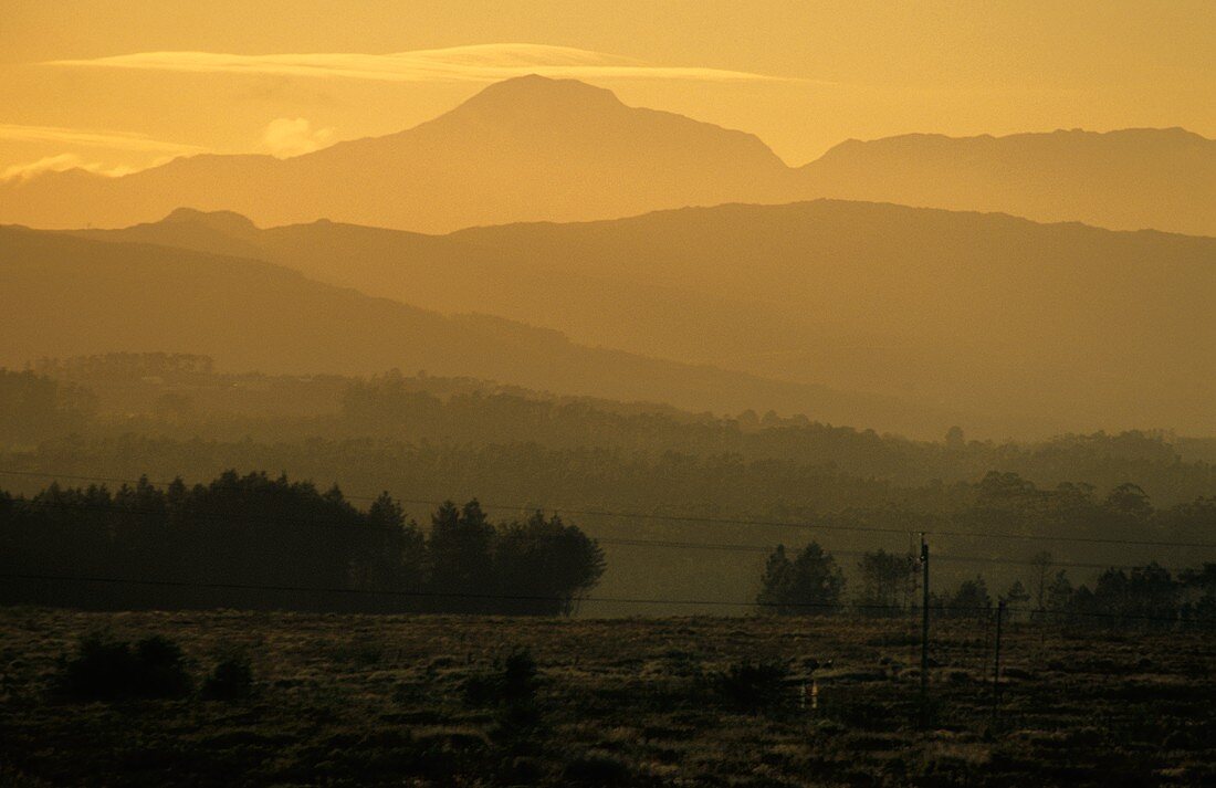 Morning at Hermanus, Walker Bay, S. Africa