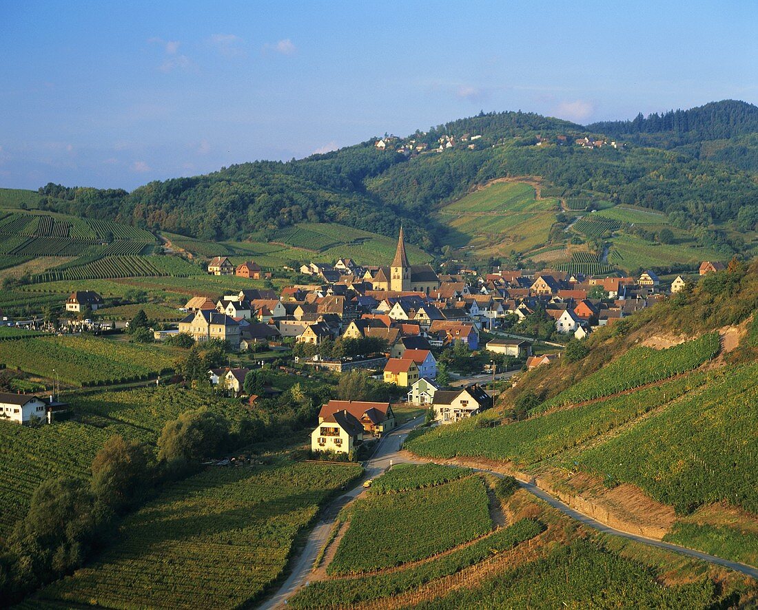 Niedermorschwihr, Alsace, France