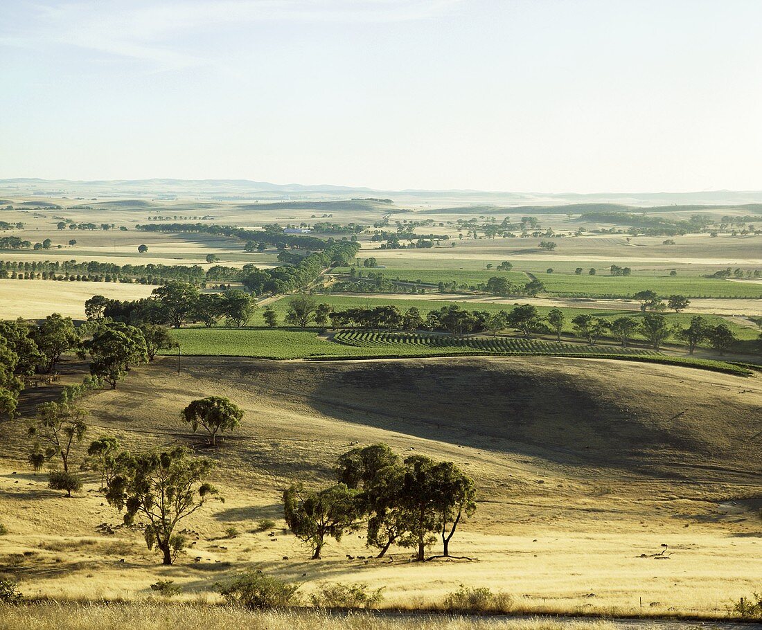 Clare Valley, Weinanbaugebiet in South Australia, Australien