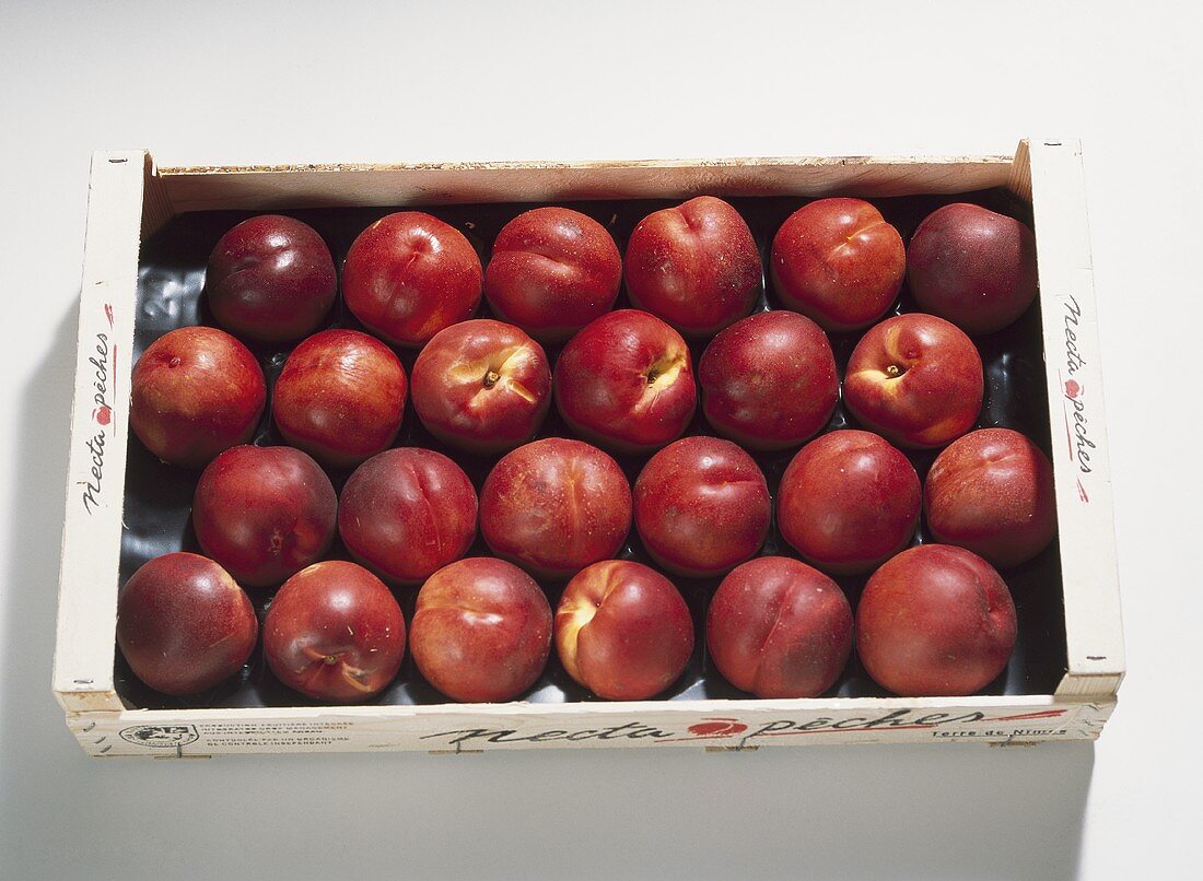 Nectarines, variety 'Starbright', in crate