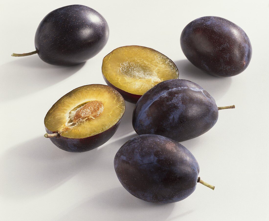 Plums (Prunus domestica), variety ‘Cacaks Fruchtbare’