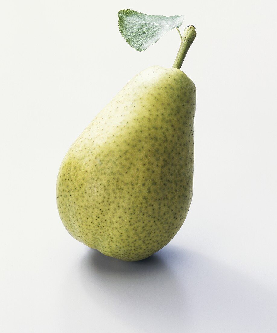 Pear (Pyrus communis), variety 'Dr. Guyot'