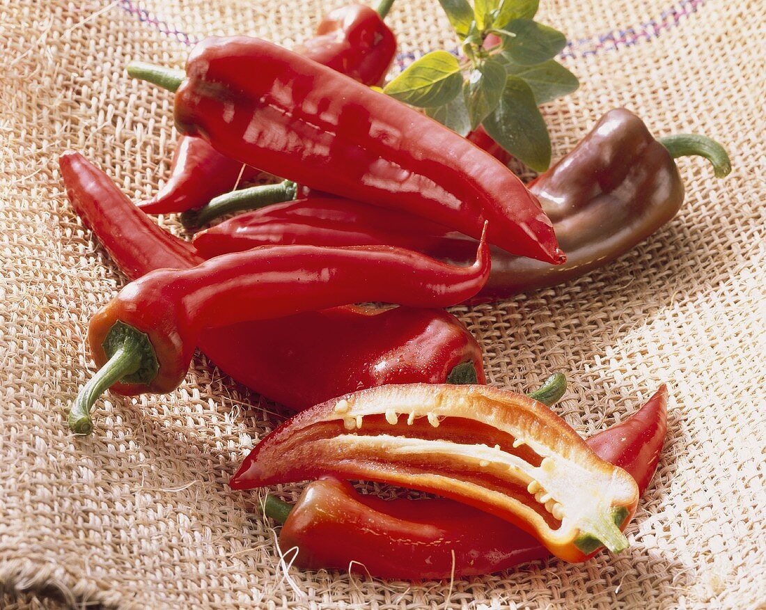 Red pointed peppers, variety ‘Kapya’ from Turkey