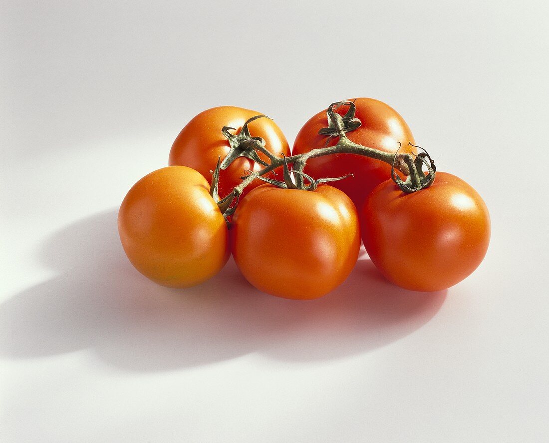 Tomaten, Sorte Carabeta, an der Rispe
