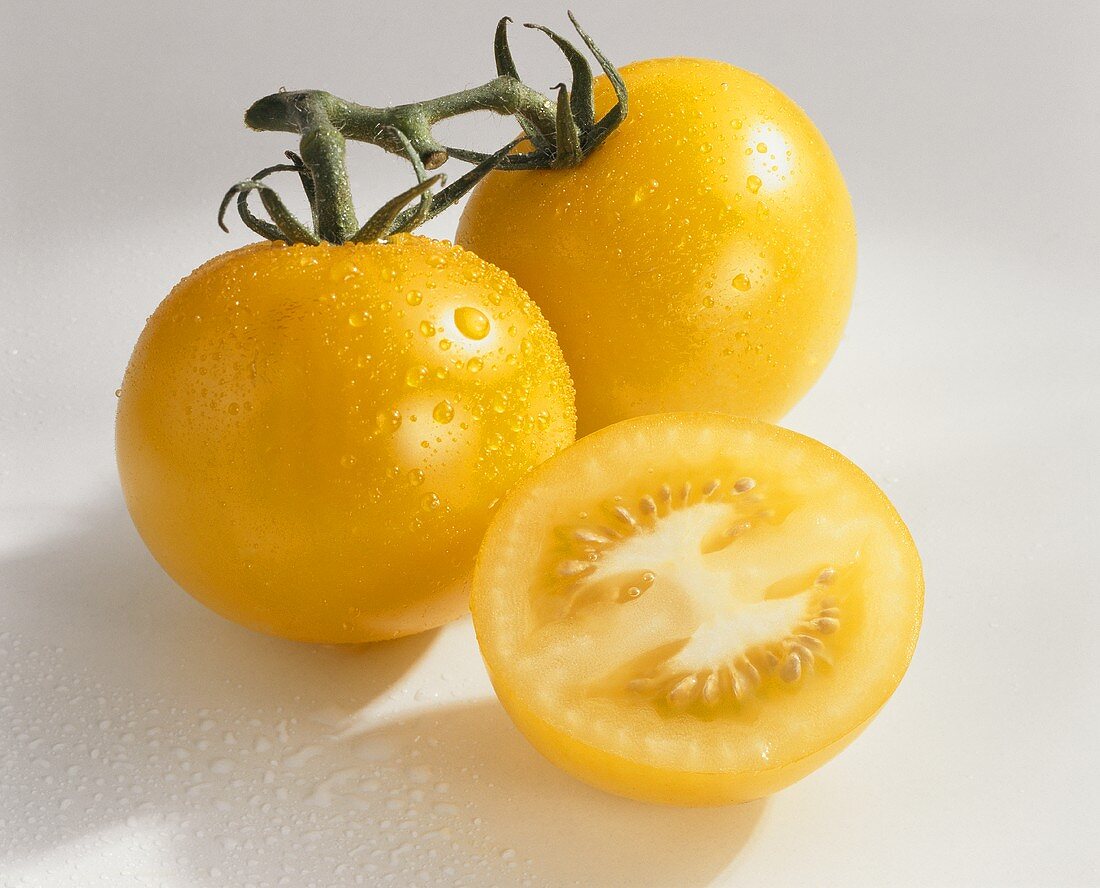 Yellow tomatoes, variety ‘Locarno’, with drops of water