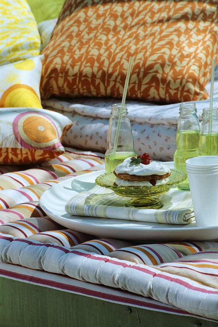 Small berry cake and water bottles on a sofa seat