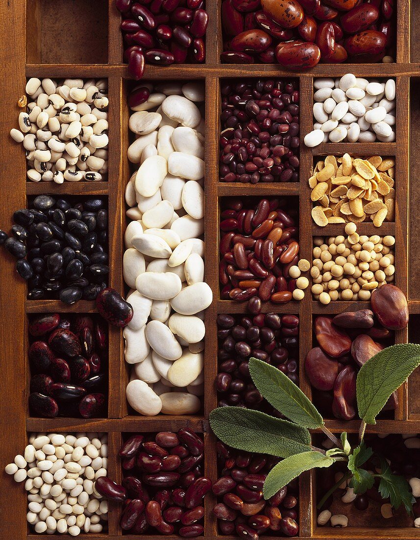 Typesetter's case with assorted dried beans