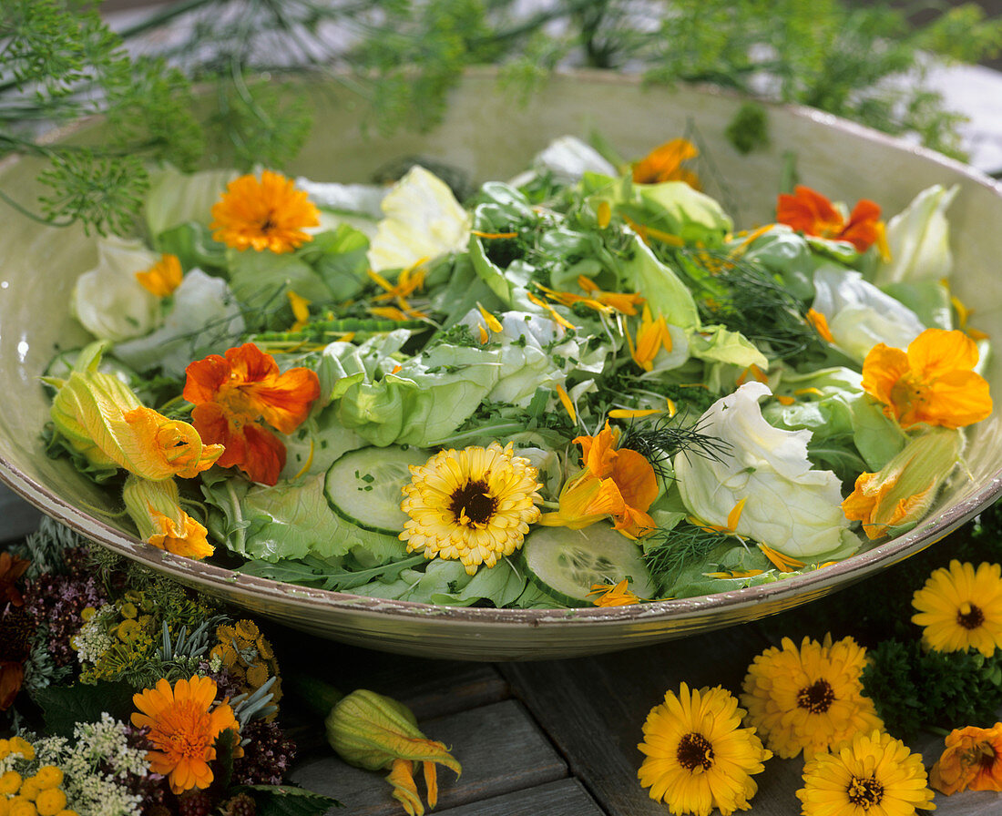 Salat mit Dill, Kapuzinerkresse und Ringelblumen