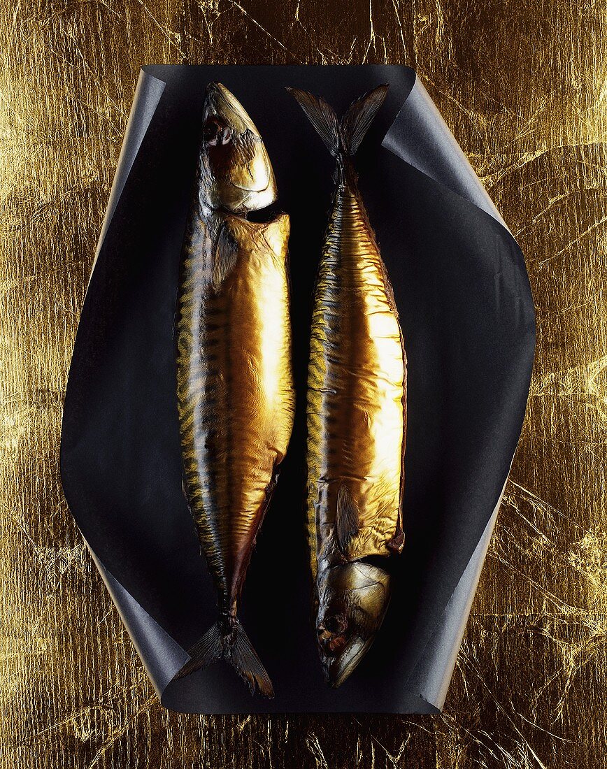 Zwei geräucherte Makrelen auf goldenem Hintergrund