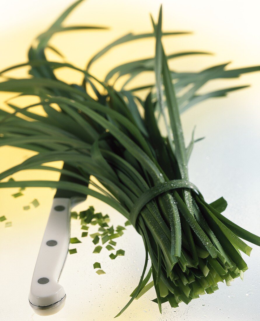 Chinese chives (garlic chives) with knife