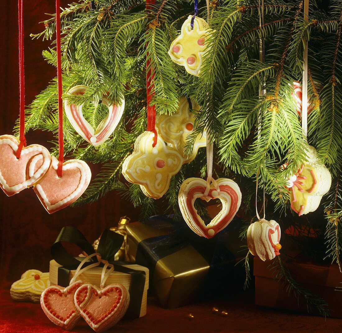 Aniseed biscuits as tree ornaments