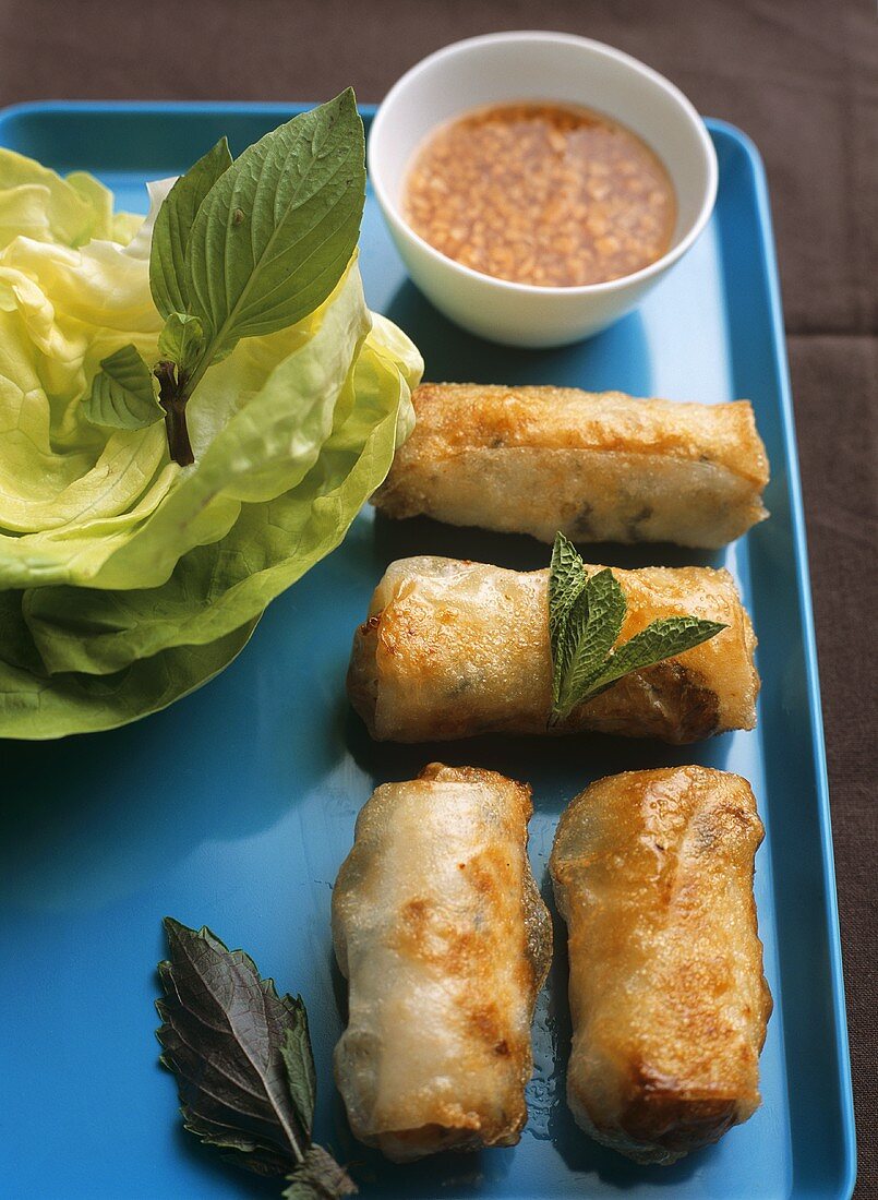 Cha gio (deep-fried spring rolls, Saigon, Vietnam)