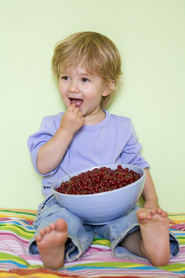 Small boy with a bowl of redcurrants