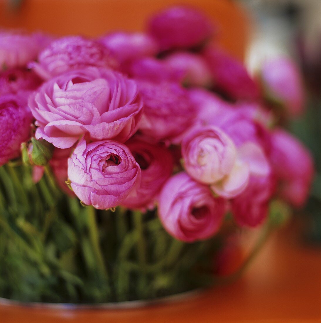 A bouquet of Ranunculus