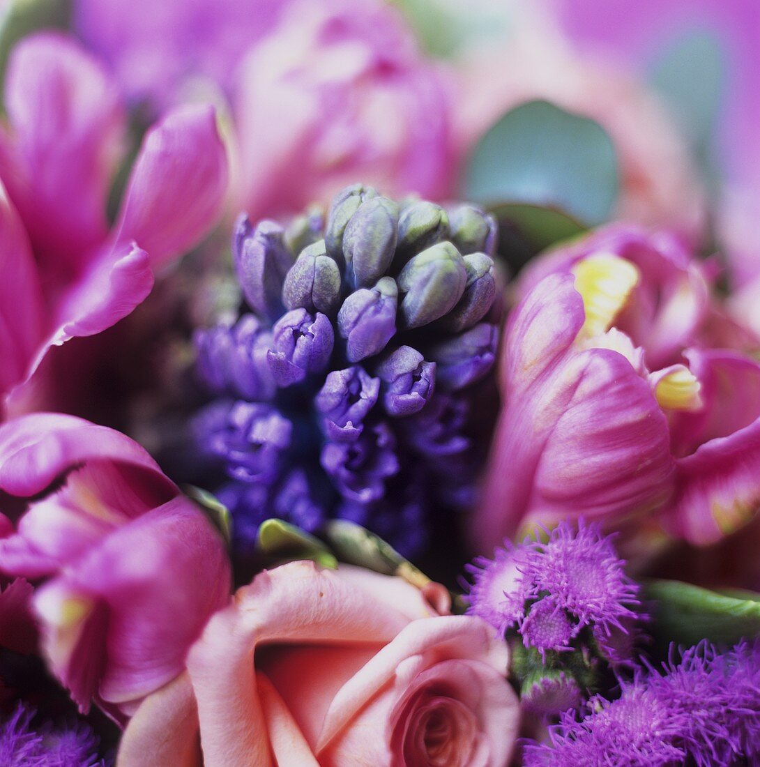 Rose, hyacinth and tulips