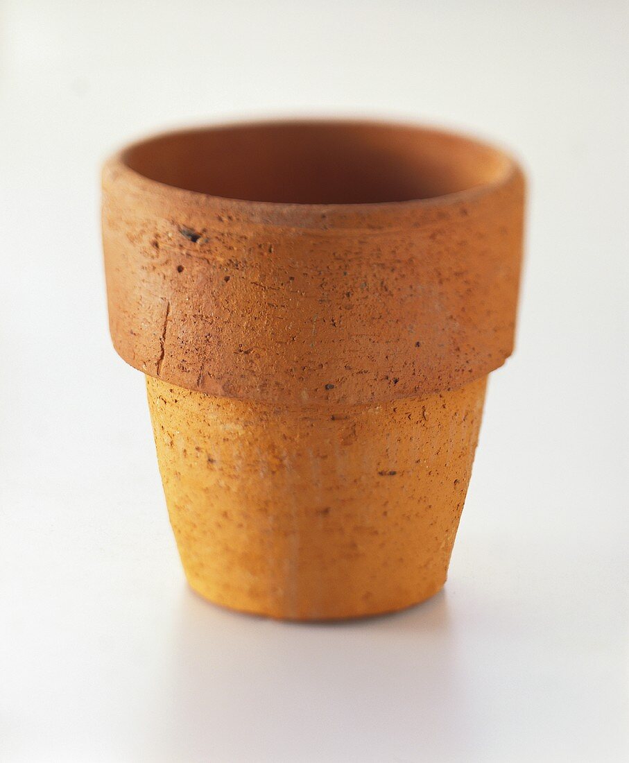Terracotta flowerpot with broad rim