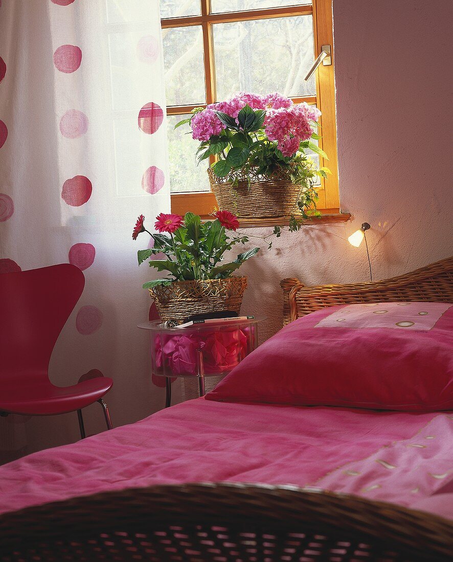 Gemütliches Schlafzimmer mit Topfgerbera & Hortensie