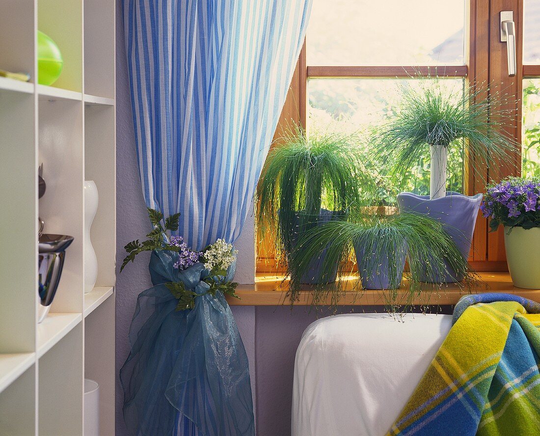 Blumendeko an blauer Gardine und Pflanzentöpfe auf dem Fensterbrett