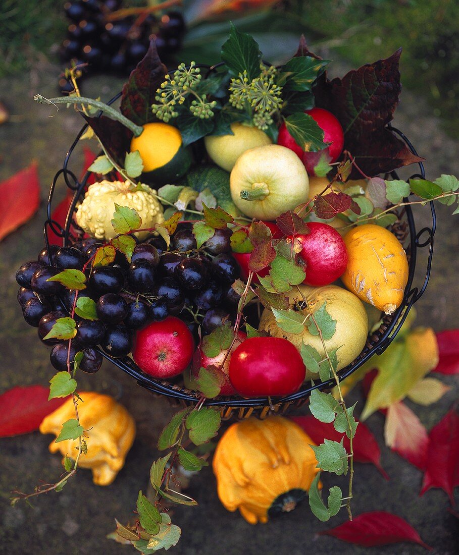 Korb mit Herbstfrüchten, Weinranken & Efeuranken