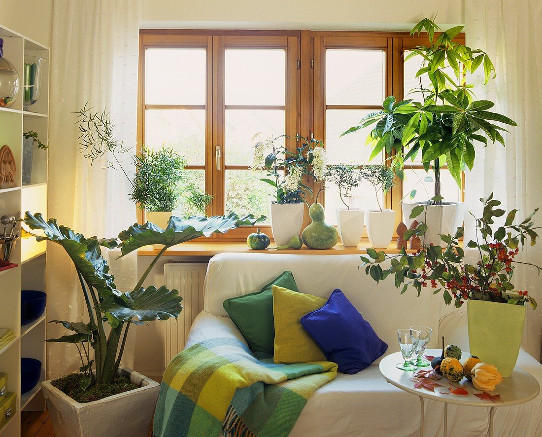 Seating area decorated with ornamental gourds, green houseplants and spindle branches