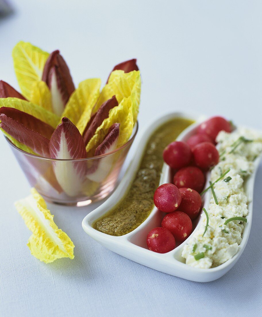 Chicory and radishes with anchovy and soft cheese dips