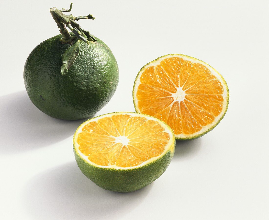 Clementine Niagawa (Kreuzung: Mandarine x Pomeranze, Italien)