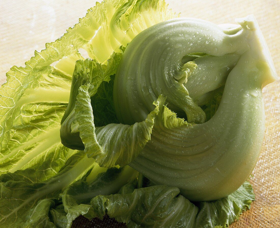 Pak Choi