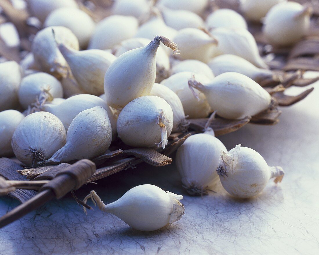 Silverskin onions (Allium cepa var. fistulosum)